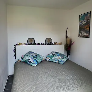 Appt Cosy Entier Avec Piscine Appartement Toulouse